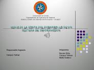 SISTEMA DE INFORMACION