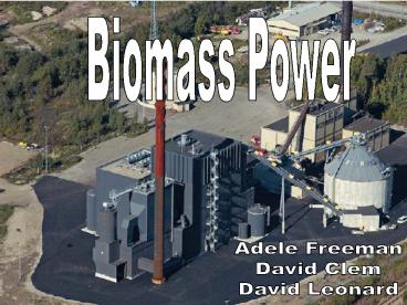 Biomass Power