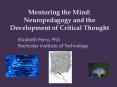 Mentoring the Mind: Neuropedagogy and the Development of Critical Thought PowerPoint PPT Presentation
