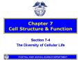 Chapter 7 Cell Structure PowerPoint PPT Presentation