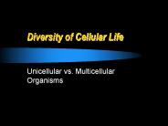 Diversity of Cellular Life