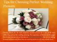 Tips for Choosing Perfect Wedding Flowers PowerPoint PPT Presentation