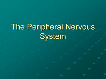 The Peripheral Nervous System