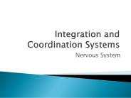 Integration and Coordination Systems
