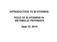 INTRODUCTION TO B-VITAMINS: PowerPoint PPT Presentation