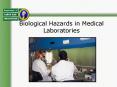 Biological Hazards in Medical Laboratories PowerPoint PPT Presentation