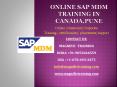sap mdm online training in canada,pune PowerPoint PPT Presentation