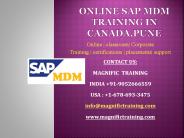 sap mdm online training in canada,pune