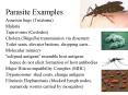 Parasite Examples Assassin bugs (Triatoma) Malaria Tapeworms (Cestodes) Cholera (Shigella) transmission via dysentery Toilet seats, elevator buttons, shopping carts... Molecular mimicry  PowerPoint PPT Presentation