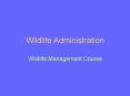 Wildlife Administration PowerPoint PPT Presentation