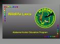 Wildlife Laws PowerPoint PPT Presentation