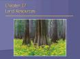 Chapter 17 Land Resources PowerPoint PPT Presentation