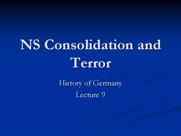 NS Consolidation and Terror