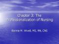 Chapter 3: The Professionalization of Nursing PowerPoint PPT Presentation