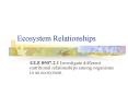 Ecosystem Relationships PowerPoint PPT Presentation