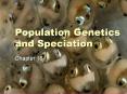 Population Genetics and Speciation PowerPoint PPT Presentation
