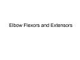 Elbow Flexors and Extensors PowerPoint PPT Presentation