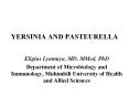 YERSINIA AND PASTEURELLA PowerPoint PPT Presentation
