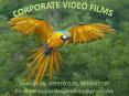 Distinct Services offered by Corporate Video Films @9899700535 PowerPoint PPT Presentation