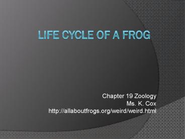 Life Cycle of a Frog