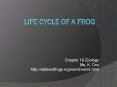 Life Cycle of a Frog PowerPoint PPT Presentation