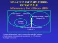MALATTIA INFIAMMATORIA INTESTINALE Inflammatory Bowel Disease (IBD) PowerPoint PPT Presentation
