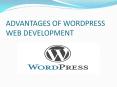WordPress Web Development PowerPoint PPT Presentation