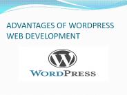 WordPress Web Development