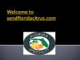 Fruit Basket Delivery to US and Canada PowerPoint PPT Presentation
