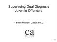 Supervising Dual Diagnosis Juvenile Offenders PowerPoint PPT Presentation