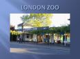 LONDON ZOO PowerPoint PPT Presentation