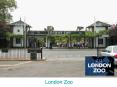 London Zoo PowerPoint PPT Presentation