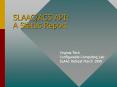 SLAAC/ACS API: A Status Report PowerPoint PPT Presentation