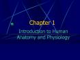 Introduction to Human Anatomy and Physiology PowerPoint PPT Presentation