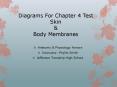 Diagrams For Chapter 4 Test Skin PowerPoint PPT Presentation