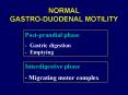 NORMAL                    GASTRO-DUODENAL MOTILITY PowerPoint PPT Presentation