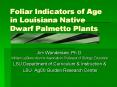 Foliar Indicators of Age in Louisiana Native Dwarf Palmetto Plants PowerPoint PPT Presentation