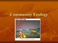 Community Ecology PowerPoint PPT Presentation