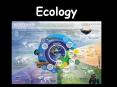 Ecology PowerPoint PPT Presentation