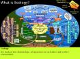 What is Ecology? PowerPoint PPT Presentation
