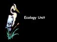 Ecology Unit PowerPoint PPT Presentation