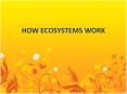 HOW ECOSYSTEMS WORK PowerPoint PPT Presentation