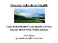 Texas Department of State Health Services PowerPoint PPT Presentation