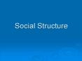 Social Structure PowerPoint PPT Presentation