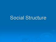 Social Structure