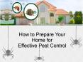 How to Prepare Your Home for Effective Pest Control PowerPoint PPT Presentation