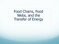 Food Chains, Food Webs, and the Transfer of Energy PowerPoint PPT Presentation