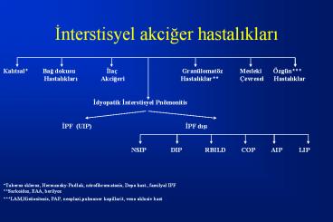 Interstisyel akciger hastaliklari