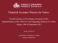 Financial Accounts: Practice for Turkey PowerPoint PPT Presentation