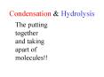 Condensation PowerPoint PPT Presentation
